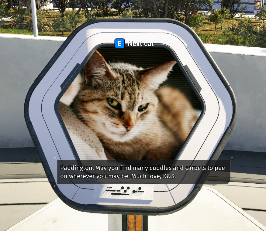 TushyFace ♡ Catmom Tushy_Face Twitter Profile Sotwe