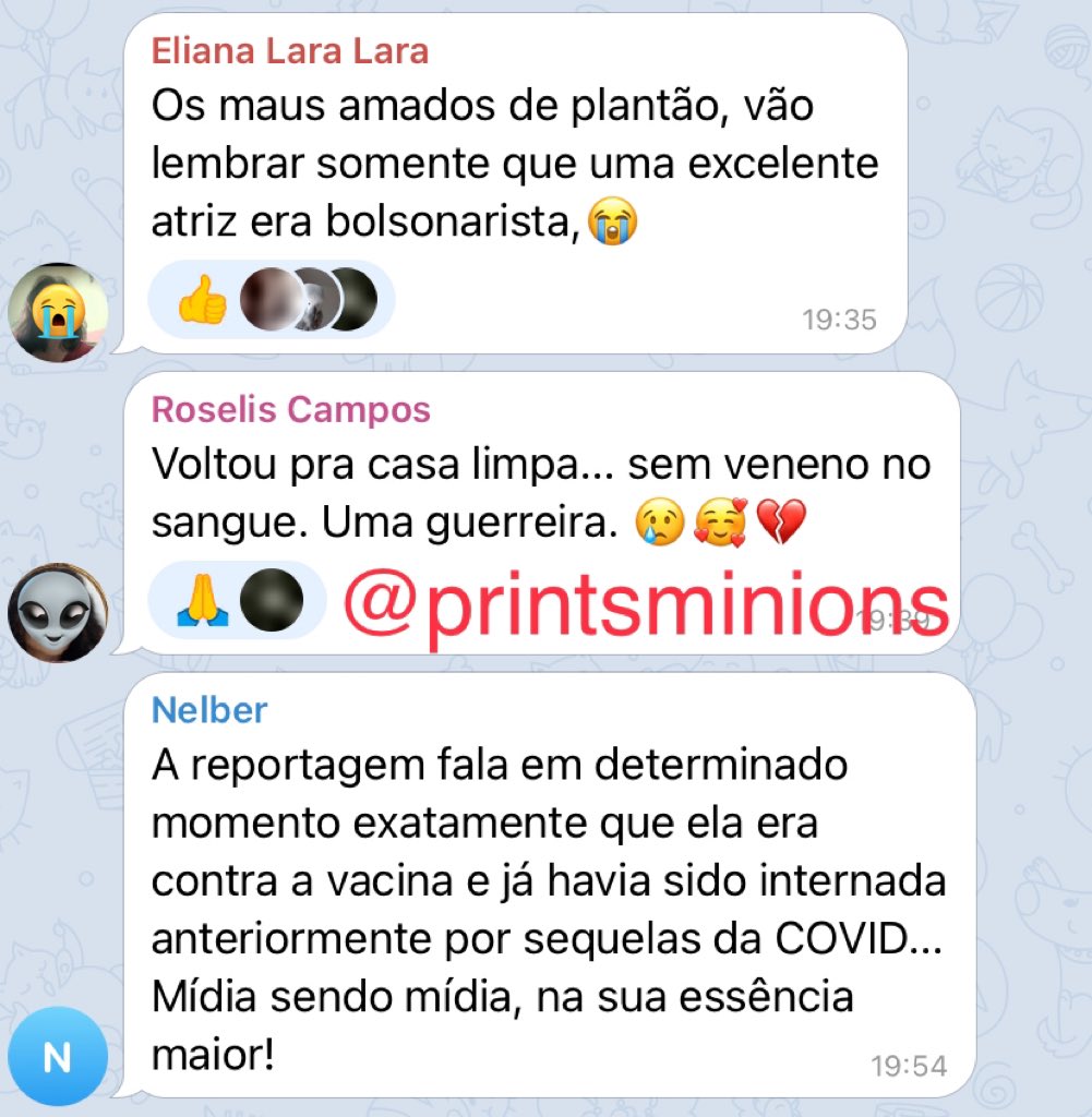 Prints bolsonaristas tweet media