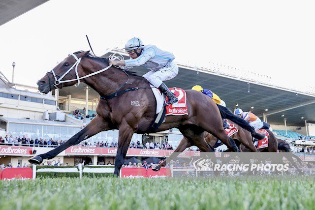 🏇🚨GROUP 1 RACING!🚨🏇

📍<a href="/FlemingtonVRC/">Victoria Racing Club</a> 3:40pm

Group 1 <a href="/coolmorestud/">Coolmore</a> Stakes 

#CELUI

Good luck to all involved! 🤞🤞

#group1 #toronado #swettenham #coolmorestakes #stallionmaking #headquarters #thoroughbredhorse #horses #racewithus #Racing #cloud9 #horsepower <a href="/Brent21579546/">Brent Stanley</a>