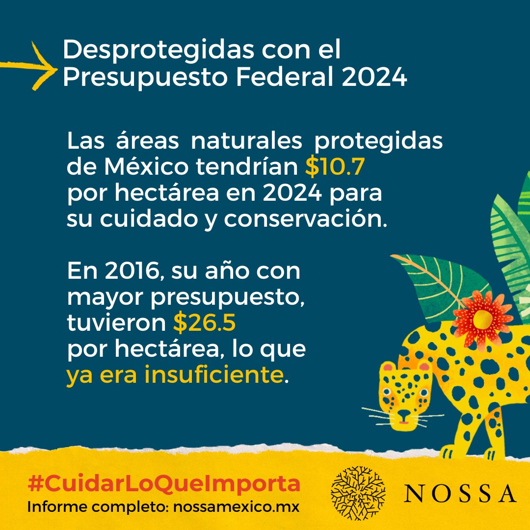 Activistas en México dicen que el presupuesto para áreas naturales  protegidas es insuficiente