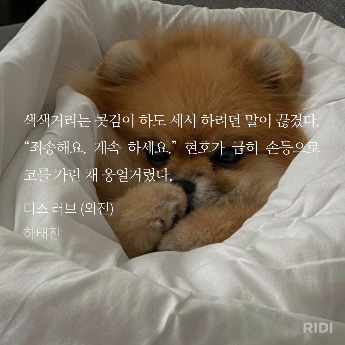 mumu20999's tweet photo. 콧김 아기강아지 차현호 https://t.co/FKzQTYjGgK