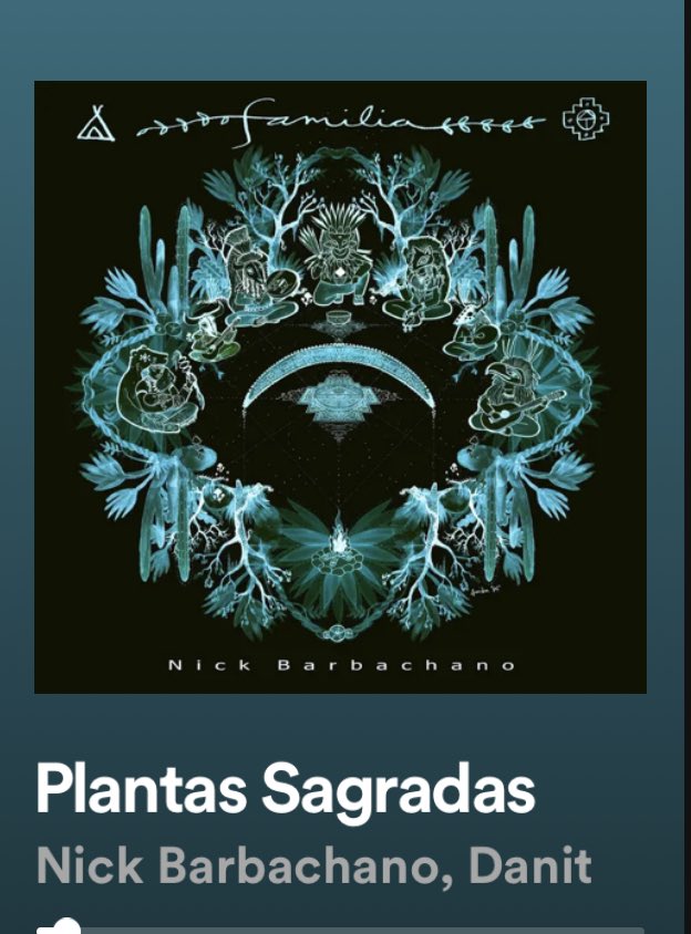 Cameron20370744's tweet photo. #Artemisa
#plantas #sagradas #espana #america #venezuela #cuba #mexico #Colombia #peru #argentina #chile #ecuador #bolivia #uruguay #paraguay
Elle est utilisée en usage interne comme emménagogue, pour régulariser ou provoquer les règles et lors de la ménopause.
En usage externe, les bains d'armoise sont réputés contre les rhumatismes.
Elle était réputée protéger contre les influences nuisibles, les insectes et les mites et était utilisée, fumée, pour les prophéties et la divination par les druides , puis plus tard la tradition chrétienne la conserva et elle était brulée dans les feux de la Saint Jean pour porter bonheur.
Les feuilles ont parfois aussi été utilisées en remplacement du tabac.
D'autres indications nous sont apportées par les Amérindiens du Canada, qui l'utilisent beaucoup, en infusion ou en inhalation, pour soigner le rhume, la toux et les maladies respiratoires. Ils l'utilisent aussi en lavement ou en cataplasme pour les blessures, les irritations de la peau et les infections, ampoules, foulures, lésions et enflures, et en bain pour les rhumatismes, l'arthrite et la douleur musculaire.
Plusieurs espèces sont aussi brulées lors de cérémonies en tant que fumigation ou encens protecteurs. Plus de 20 espèces sont natives du canada et beaucoup sont utilisées comme remèdes. Certaines sont même considérées comme trop puissantes pour une utilisation interne.
Dans les jardins, elle a la réputation de repousser les limaces, rongeurs et les escargots et on peut l'utiliser en purin à cet effet et comme fongicide.
Même le jardin des Plantes confirme ses propriétés nombreuses et anciennes.
Ne pas la confondre avec l'ambroisie qui est allergogène ( feuilles vertes dessus dessous) alors que l'armoise est verte au dessus et argentée en dessous.
Elle est déconseillée en cas de grossesse et d 'allaitement et sa consommation doit restée modérée.
Je suis heureux de partager aussi les informations très optimistes du naturopathe Jean-Pierre Willem de février 2022 à propos des essais thérapeutiques en cours à Madagascar et en Guinée équatoriale qui étaient en phase 3, randomisés en double aveugle, coordonnés par l'OMS, avec des résultats très prometteurs qui devraient confirmés début 2023.
https://t.co/6giWjfd73f
Sur l'artemisia afra
"les experts malgaches ont persisté dans leur recherche et aujourd’hui leur remède CVO+ curatif issu de l’Artemisia annua (version améliorée du Covid Organics) fait l’objet d’un essai clinique. Des extraits de cette plante aux propriétés antivirales sont dosés pour chaque capsule à 150 mg d’artémisinine, 3,3 mg d’extrait de flavonoïde, 4 mg d’extrait terpénique. Il y a aussi 7,1 mg d’huile essentielle de Ravintsara.
Les essais sont en phase 3, randomisé en double aveugle, comme l’impose le protocole en Guinéé Equatoriale et à Madagascar. Dans ce dernier pays, après deux semaines de traitement sur 338 patients atteints de Covid, les résultats indiquent que le CVO+ curatif est «efficace à 87,1% pour le traitement du Covid-19 de forme légère à modérée».
Si vous êtes interessé-es, vous pouvez aussi prendre contact avec les associations :
Kokopelli
La maison de l artemisia"-20 rue pierre Demours-75017 Paris, organisée par les équipes de Lucile Cornet Vernet. Et celles des 130 maisons de l'artemisia, et leurs partenaires dans 28 pays qui organisent formations et le développement des filières de la culture et agissent en faveur de cette famille de plantes exceptionnelles.
https://t.co/q9ZfXv9bmH
Miami, Caracas Venezuela, Tunis, Djibouti, Ethiopia, Kenya, Comores, Madagascar, Congo, Rwanda, Burundi, Luanda, Bangui, Congo Brazzaville, Cameroun, Gabon, Tchad, Niger, Nigeria, Benin, Togo, Ghana, Cote d 'Ivoire, Guinea, Sierra leone, Senegal, Bamako, Mali, Burkina, Thailand, Denpasar Indonesia.
L'artemisia est une des plantes les plus puissantes de la pharmacopée, puisqu'elle est présente sur de nombreux continents, voire tous.