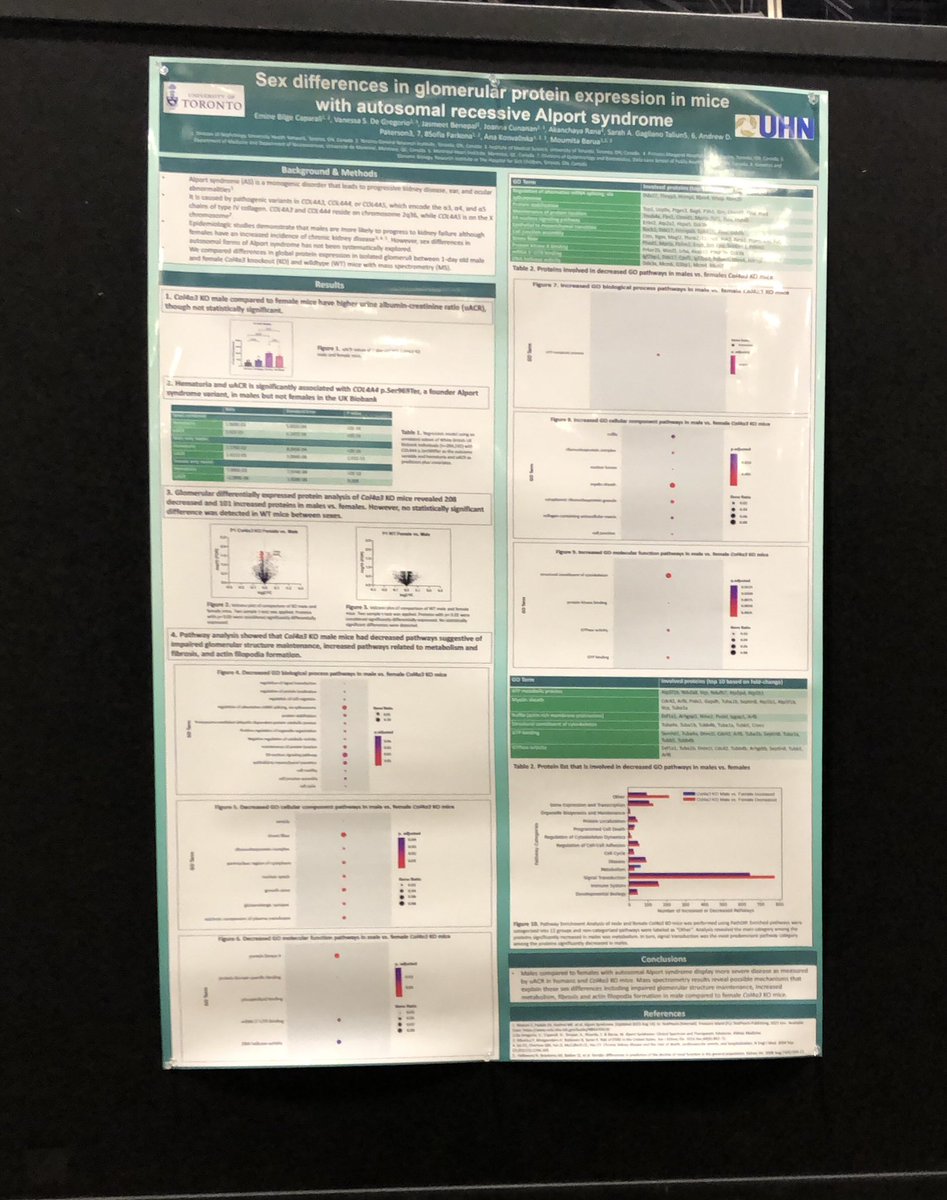 Me a few years ago couldn't even imagine this. Having a poster of my research at #KidneyWk was the greatest opportunity. Such an amazing week with full of networking and science thanks to <a href="/ASNKidney/">American Society of Nephrology</a>!!