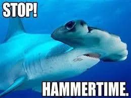Stingrayvilla's tweet photo. Since 1992 I have only seen one hammerhead shark in the Cozumel waters. Have you been lucky enough to come face to face with these majestic creatures?
.
.
#airbnbcozumel #airbnbhost #islacozumel #cozumelmexico #cozumel #airbnbfun #airbnbphoto #airbnbtravel #airbnbmexico https://t.co/cWVeCdyiNc