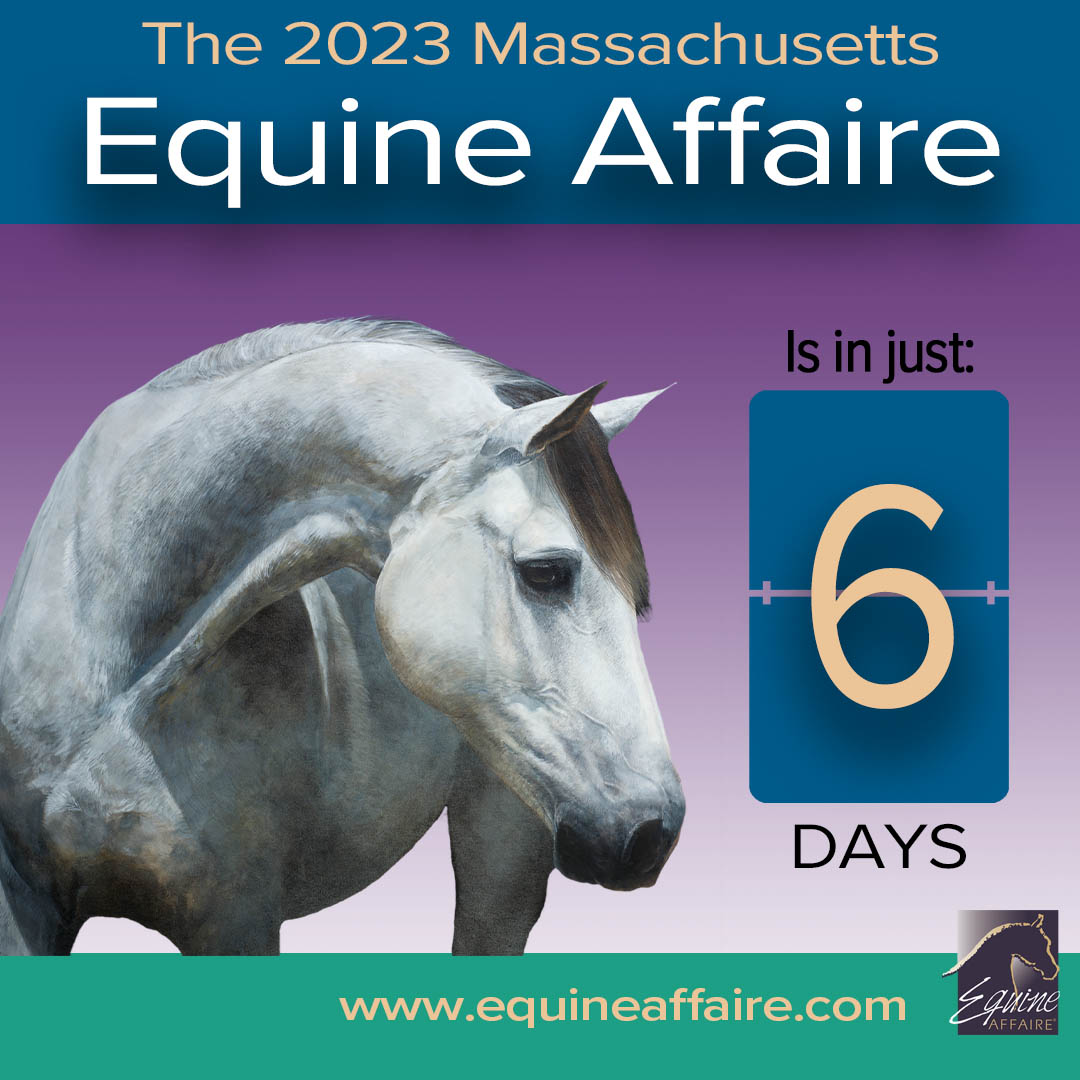 Equine Affaire is coming to the Eastern States Exposition in SIX DAYS. Are you?

Tix: equineaffaire.com/events/massach…