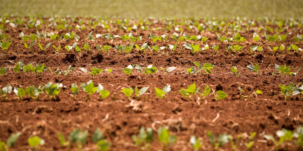 We are currently seeking applications for a Business Manager to oversee our operations, strategy and business development.

Find out more and apply: ow.ly/gg8O50Q3MGo

#AgricultureJobs #Careers #JobSearch #HigherEdJobs