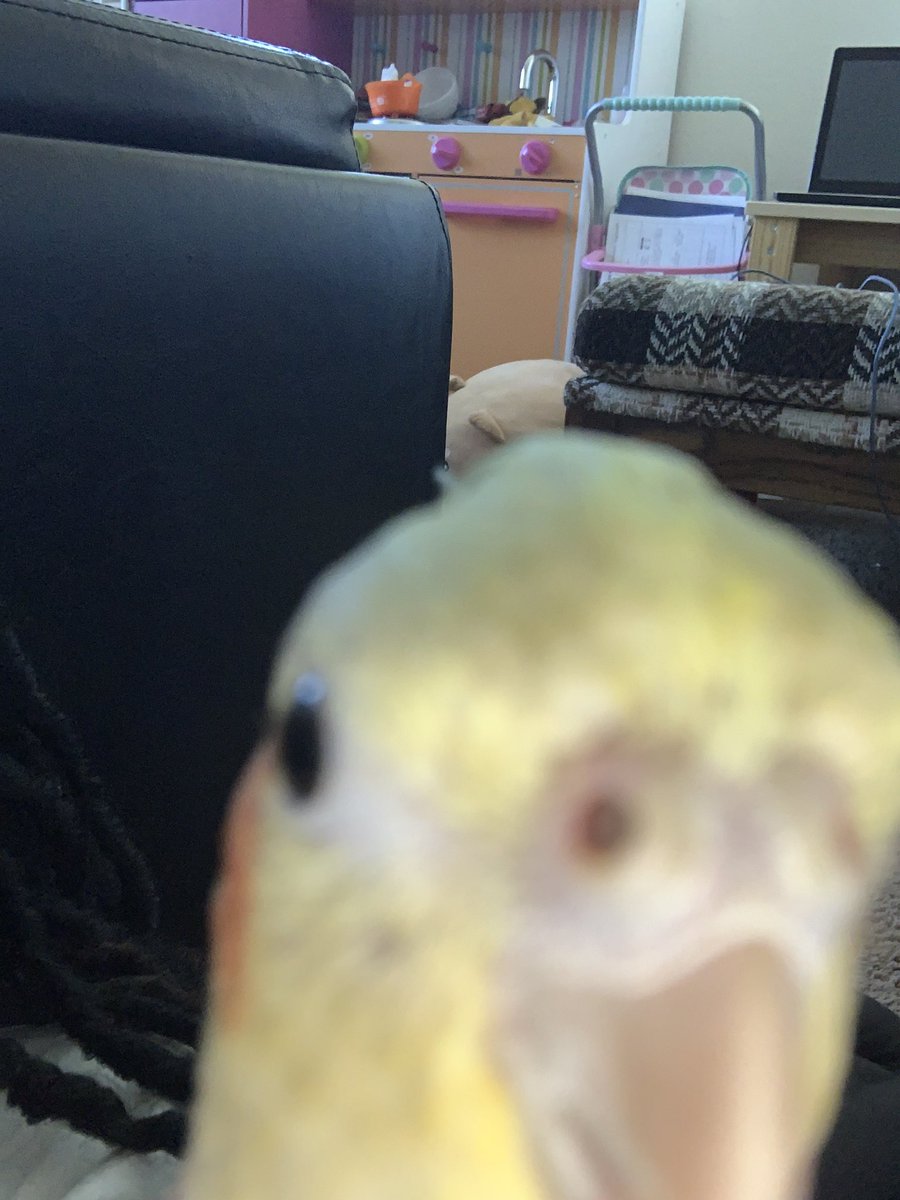 Ginger_VT tweet picture