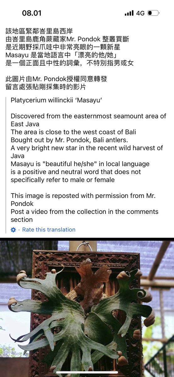 Kleee mantapp ajan ! Suksma sangyang simbar