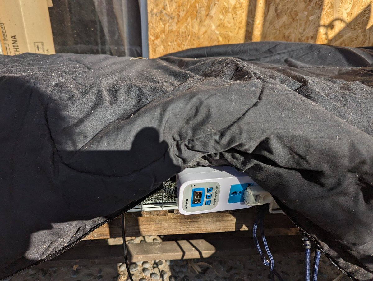 flyer_to's tweet image. Aをやります
#icebase