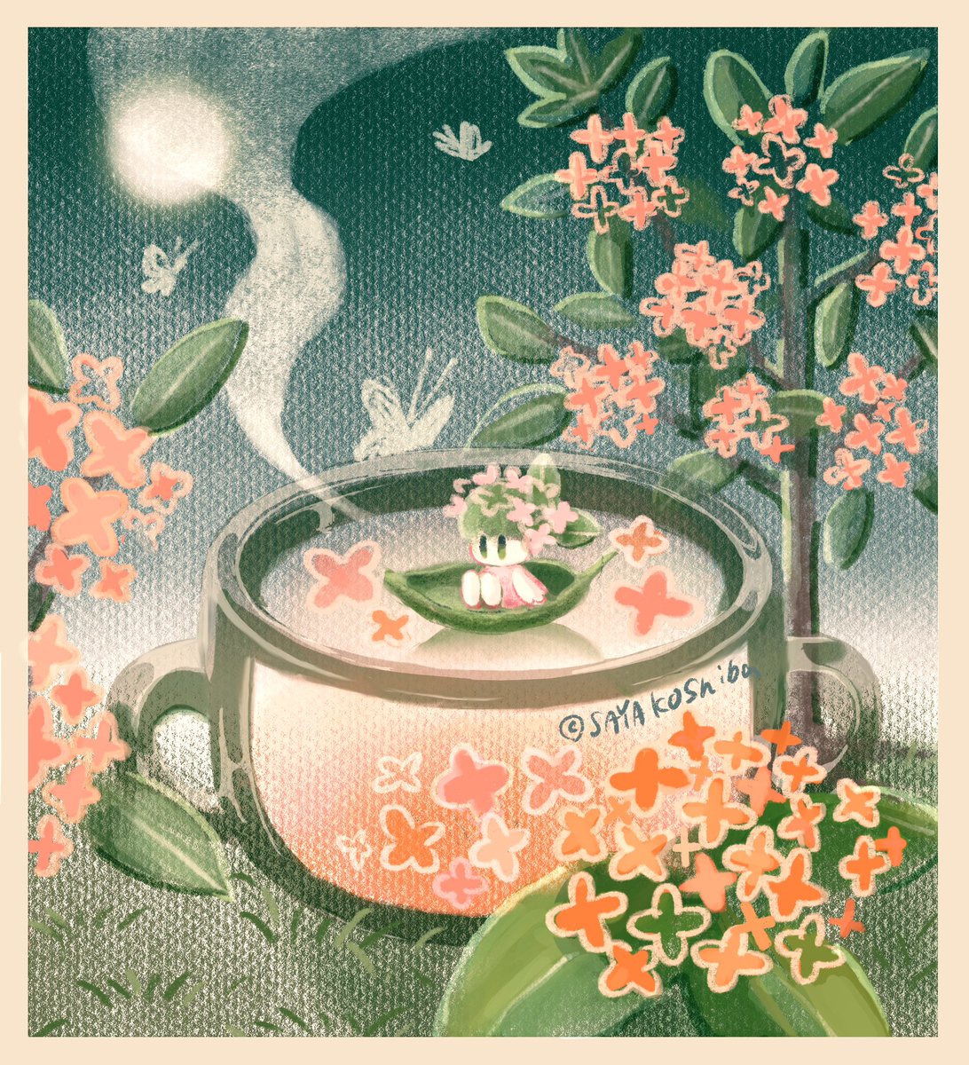 SAYAKO shiba tweet media