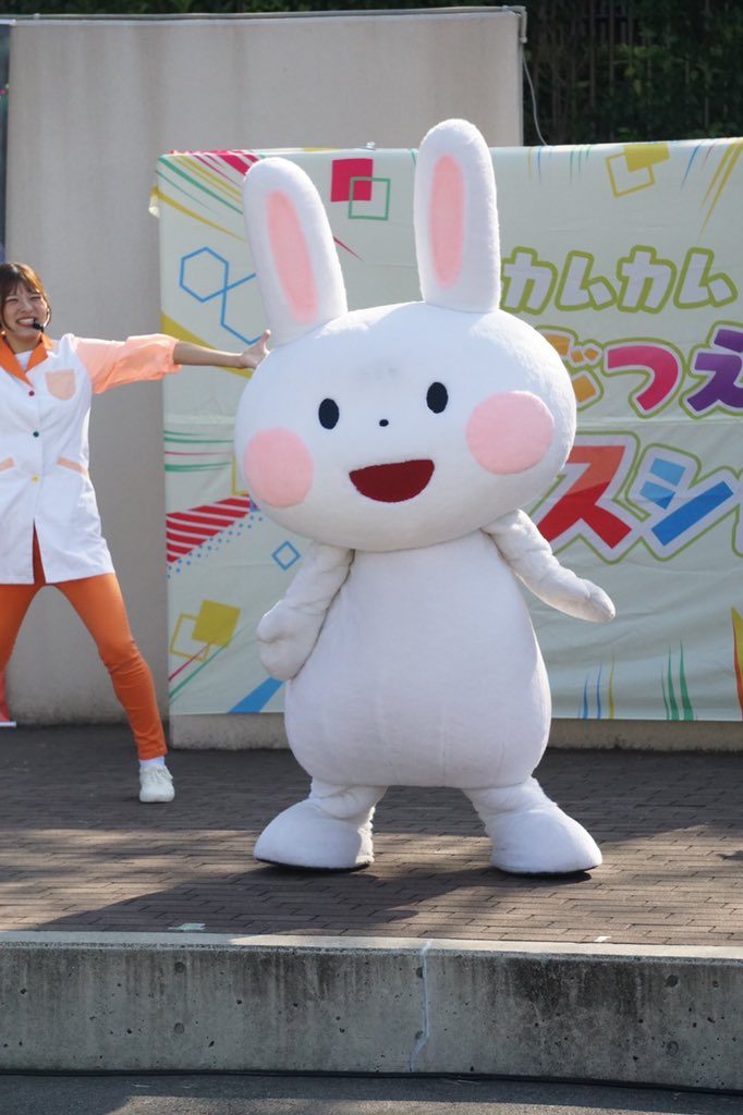 hamigakiusagi's tweet photo. みんなおはよう☀
てんのうじどうぶつえんに
きょうもいくよ！
ショーでいっしょにおどろうね💓

みんなにあえてうれしいよ🥰

はみがき🪥やは🦷をたいせつにする
みりょくをみんなにつたえたいんだー

#はみがきうさぎ
#天王寺動物園
#三連休
#はみがきうさぎのカムカムどうぶつえんフェスタ https://t.co/lRV3my7AeY