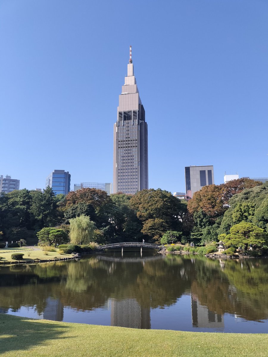 rutherfordnj90's tweet photo. Good morning from Tokyo!
Not cold and humid, very comfy morning today. I wish you'd have a nice three days weekend!
#新宿御苑 https://t.co/kHQaX5XAop