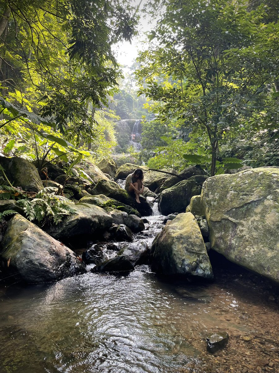 Sau nhà
Bên rừng cây
Trên tảng đá
Cạnh suối 🎶🌈
#Offgridlife #Healtheworld