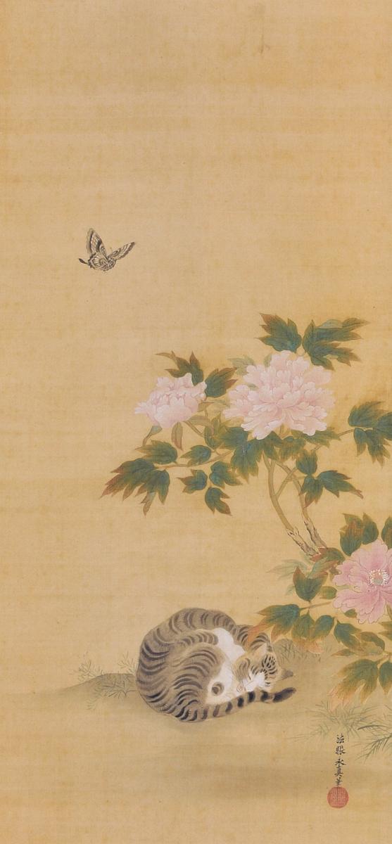 江戸（17c）の画家・狩野安信の「#牡丹猫図」（個人蔵）。一羽の蝶が