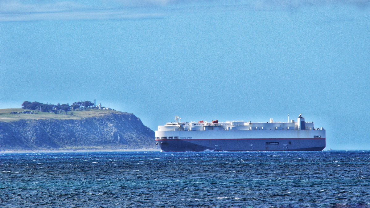 “Venus Spirit” sailing past Baring Head heading into Wellington.

Another load of cars ….won’t be helping our trade balance.

#photography #ship #maritime #wellington