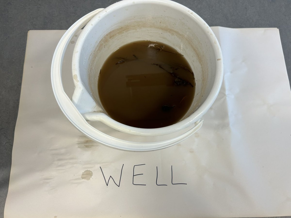 UWS BA Primary tweet media