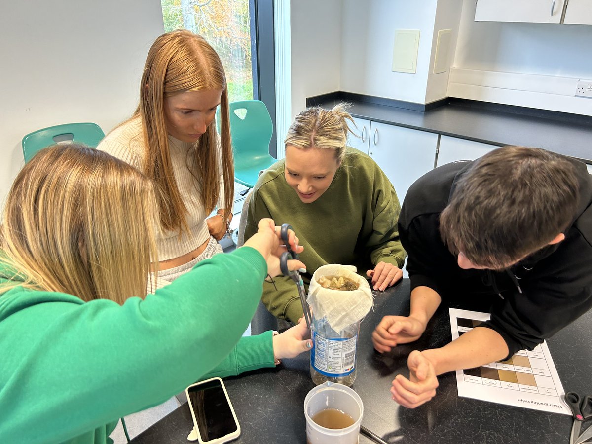 UWS BA Primary tweet media