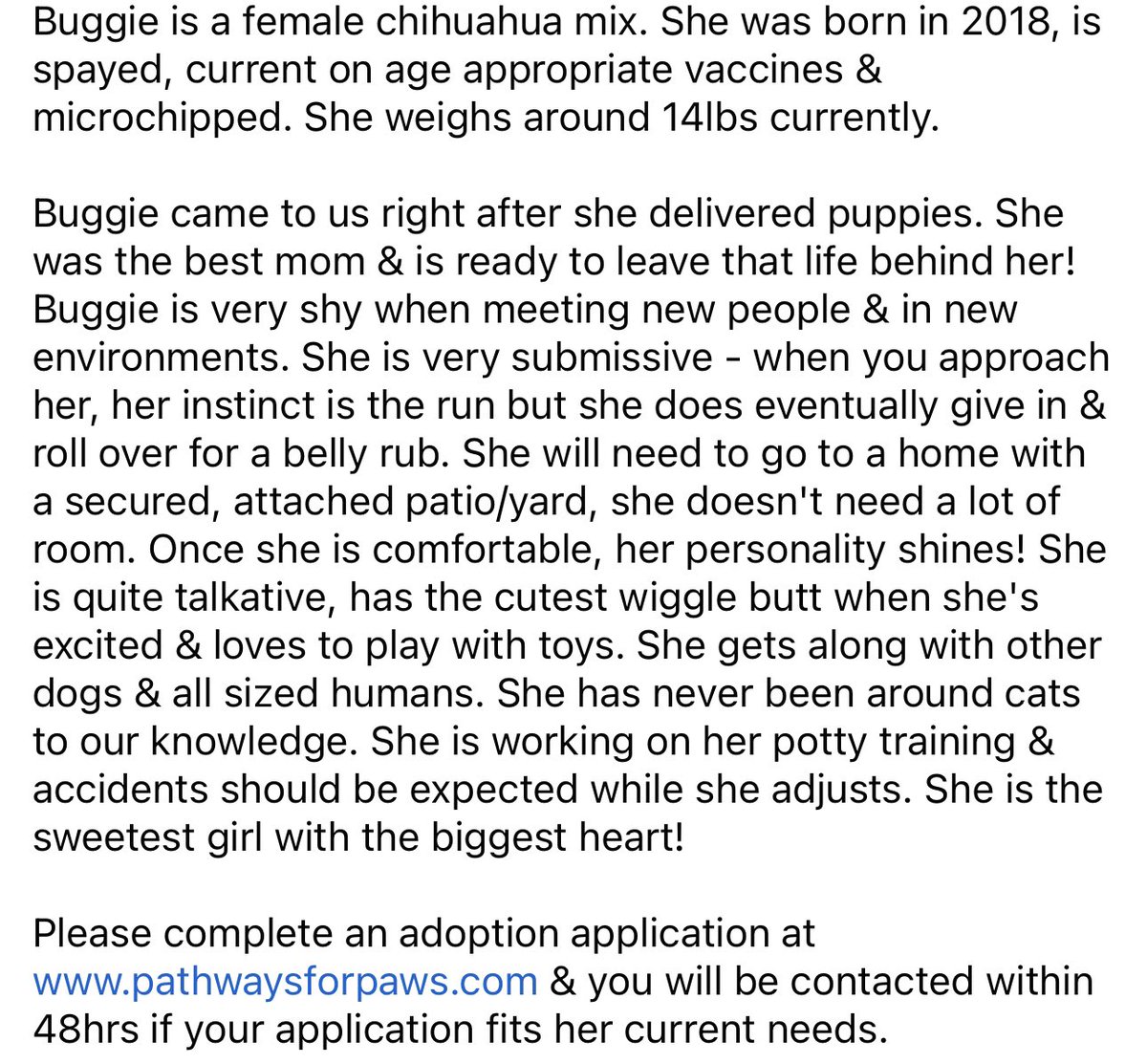 Available for adoption 🐾 pathwaysforpaws.com