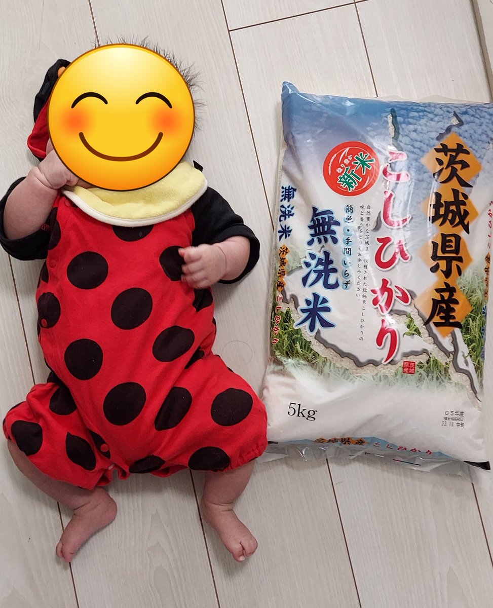 miyaan_k's tweet photo. だいたい同じ重さ。 https://t.co/PBxScnYxZE