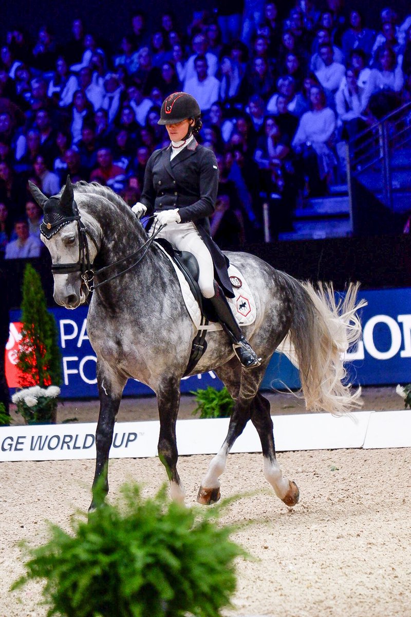 S_Elsa's tweet photo. FEI dressage world cup à Equita Lyon 2/2 https://t.co/Hh6D8XG9R3
