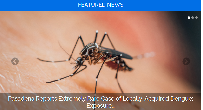 🚨 California reports first local dengue case 🚨 👩‍⚕️ Pasadena health department confirms the infection and conducts surveillance 🦟 👉 Avoid mosquito bites and eliminate breeding sites 🚫 👉 Know the symptoms and seek medical help if needed 🏥 

Read more: cdph.ca.gov/Programs/OPA/P…
