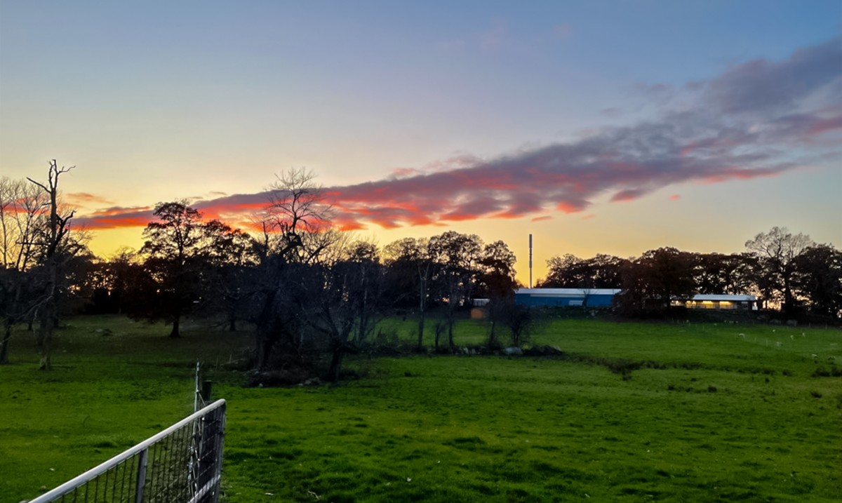 #Sunset

[📸: Cummings School of Veterinary Medicine]