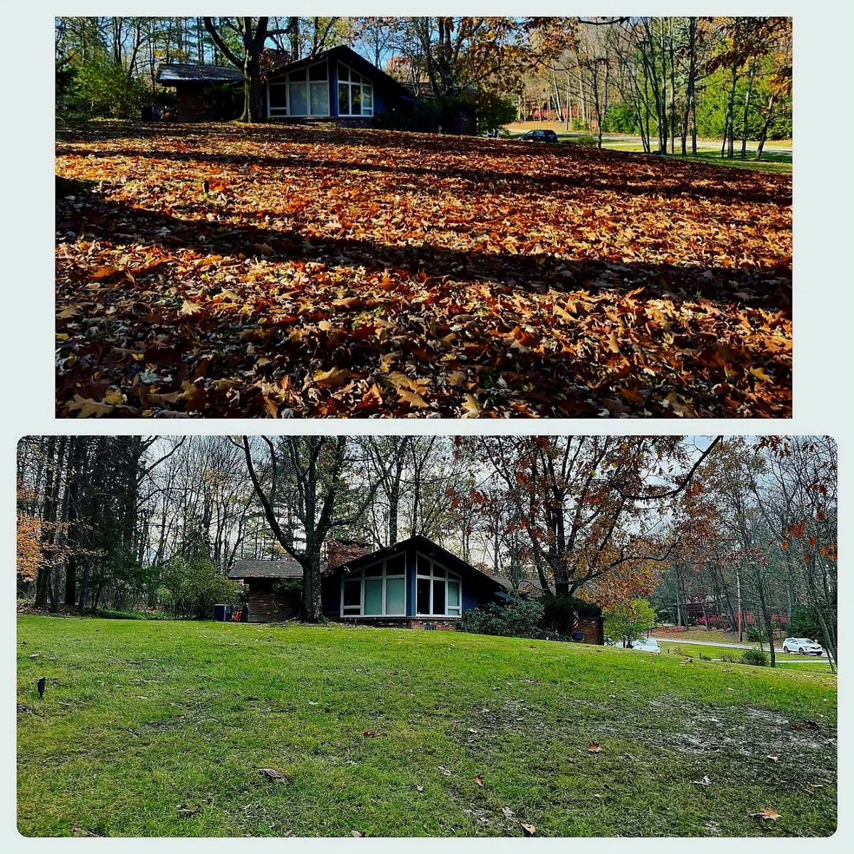 BlueBridgeLLC's tweet photo. Still Time To Get On Danny's Schedule!
@dgpictureperfect #Landscaping
#Fall2023π #FallLeafCleanUp #FallYardCleanUp #Planting #SpringBulbs #treepruningandtrimming
FREE ESTIMATE 216.440.5449 https://t.co/jGcgsYnWFJ