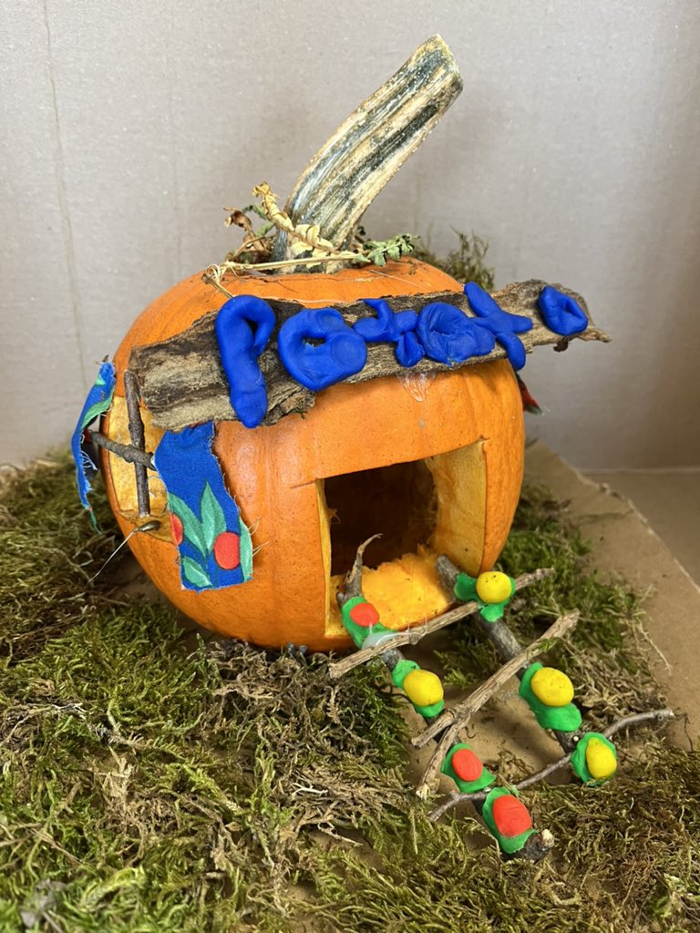 Elisha Kernaghan tweet media