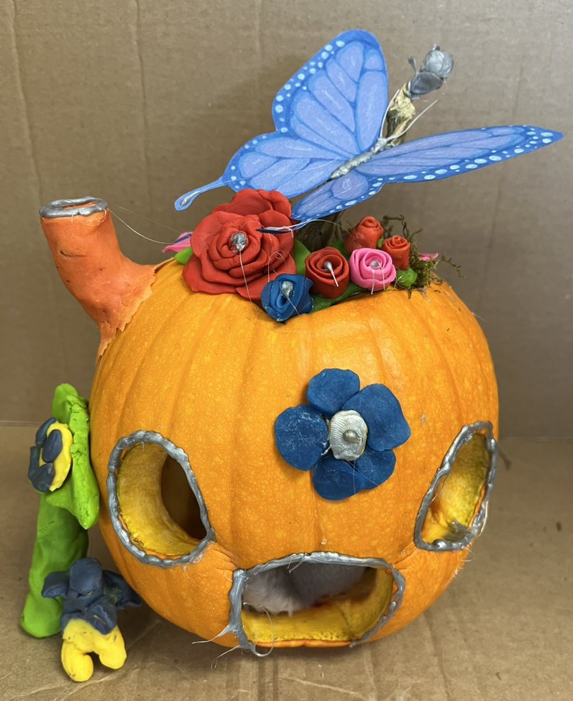 Elisha Kernaghan tweet media