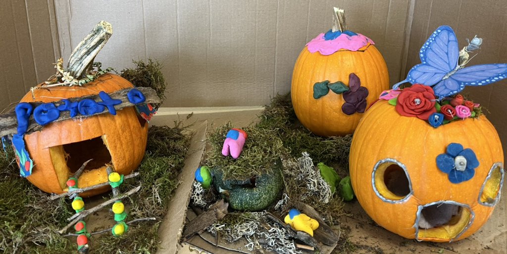 Elisha Kernaghan tweet media