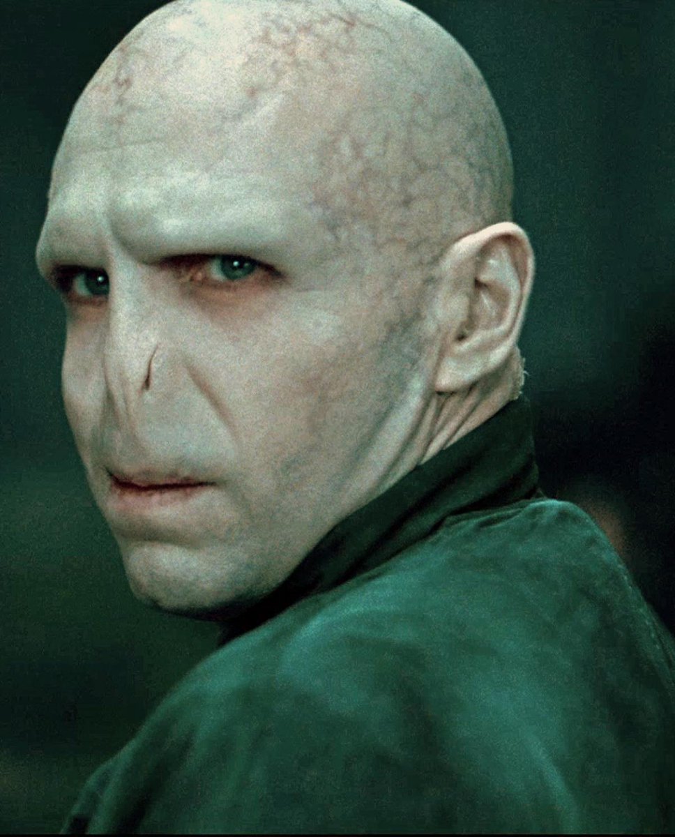 Hogwartssite's tweet image. [HILO]

La historia de los horrocruxes de Voldemort resumida 🐍💀