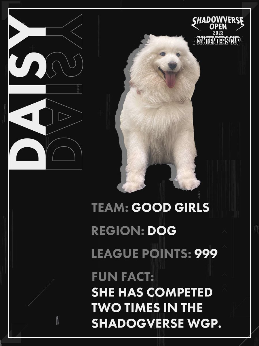 SVO_Esports's tweet photo. This just in! We have another competitor joining us today for the #SVO2023 SEAO Contenders Cup 🐶
Big, fluffy, and a lover of long walks, she's bound to sweep the competition... if only she could use a mouse 🥲 https://t.co/TP62JJ0T90