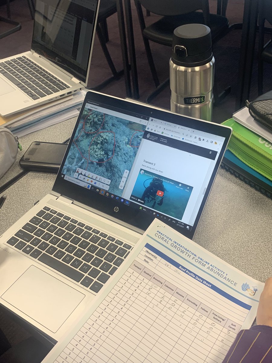 BeckRSaunders's tweet photo. #IB #Biology #Topic4 #EcologicalSampling #OnlineTransect - sampling coral hosted by James Cook University https://t.co/PrpMJrX6zT