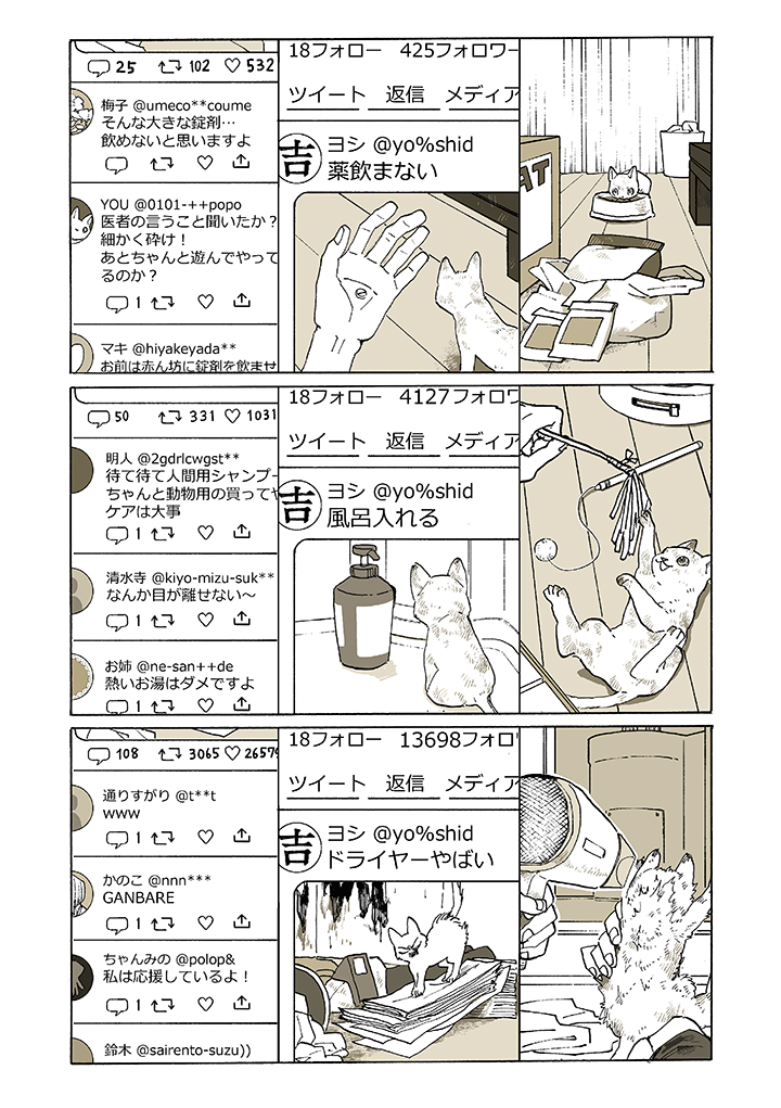 # 猫 2/3