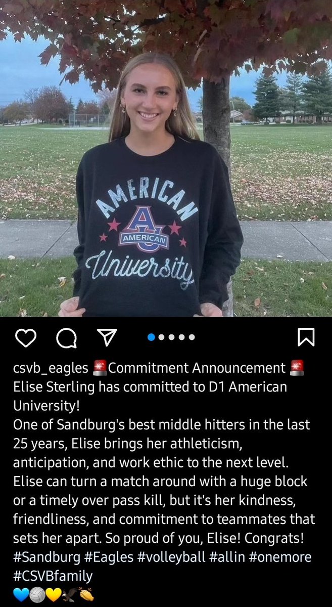 SANDBURG VOLLEYBALL tweet media