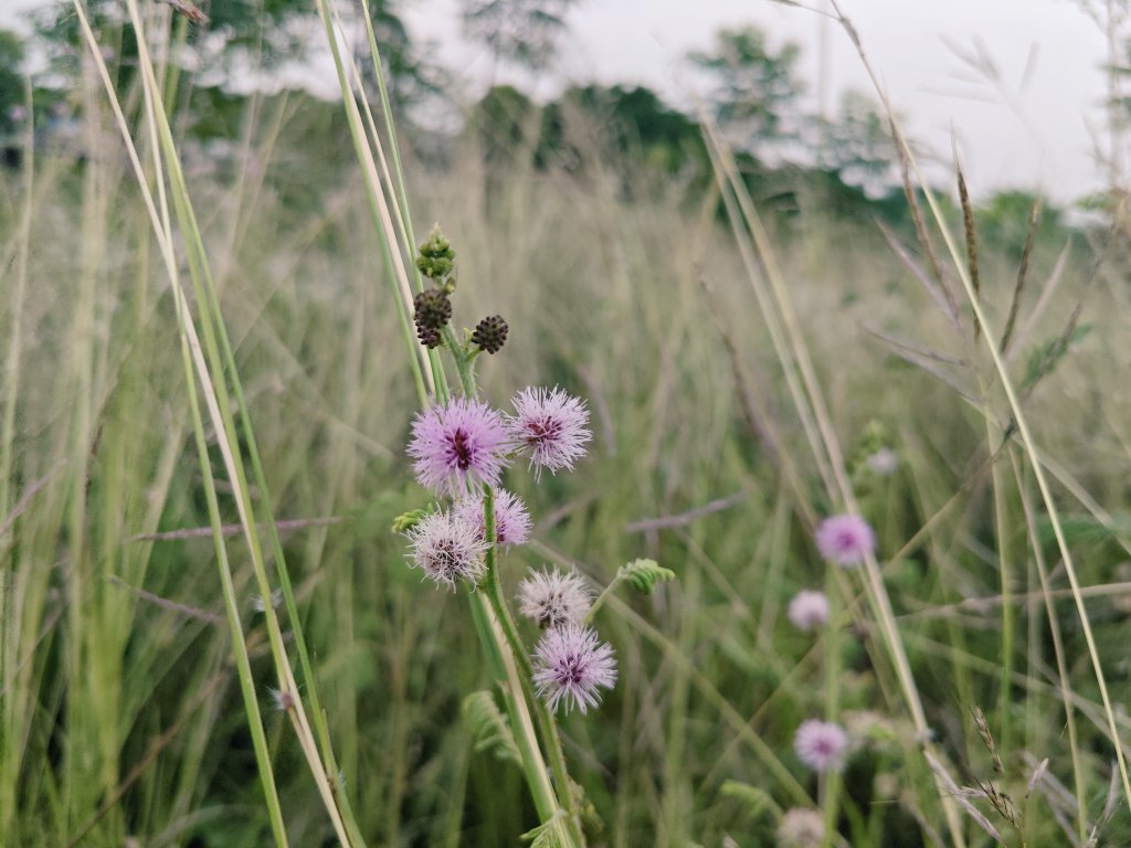 Aduc888's tweet image. Good morning !
Đưa tay đây nào ? 😋
Win cùng nhau bạn nhé.
#staytogether