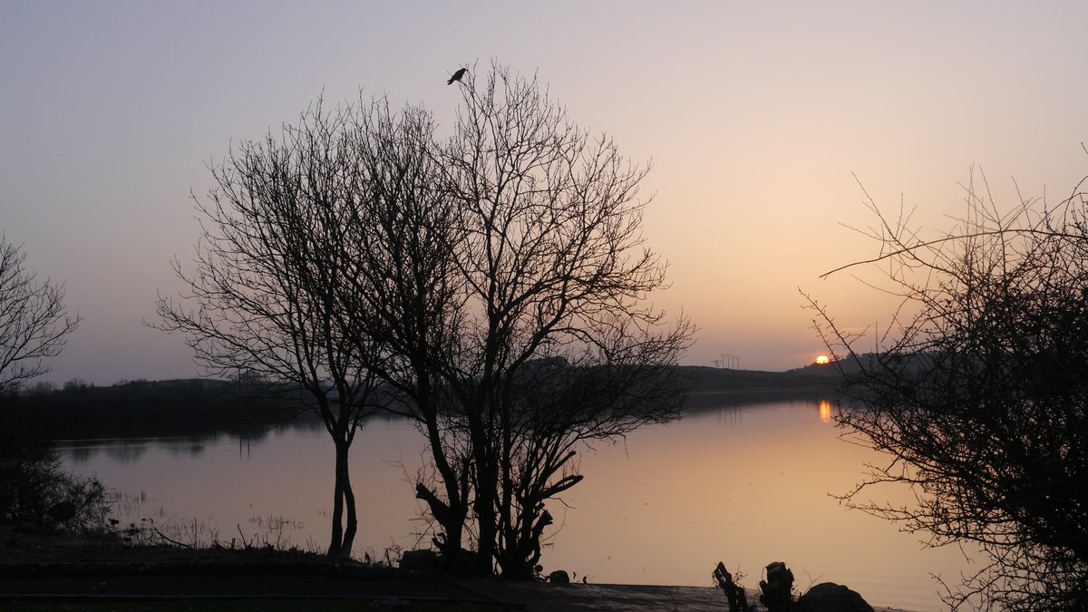 TBT ~ Ballyalla Lake at Sunset, Ennis, Clare, Ireland  
6:23pm March 12th 2014.  
#TBT #FBF #FlashbackFriday #Photography #Ruralscape #Clare #Ennis #BallyallaLake #Lake #Sunset