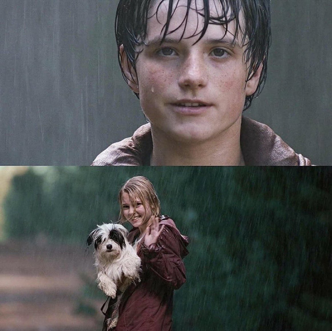 musadosmeme's tweet photo. evento canônico: assistir esse filme quando criança e ficar triste https://t.co/JT1rVuYKBK