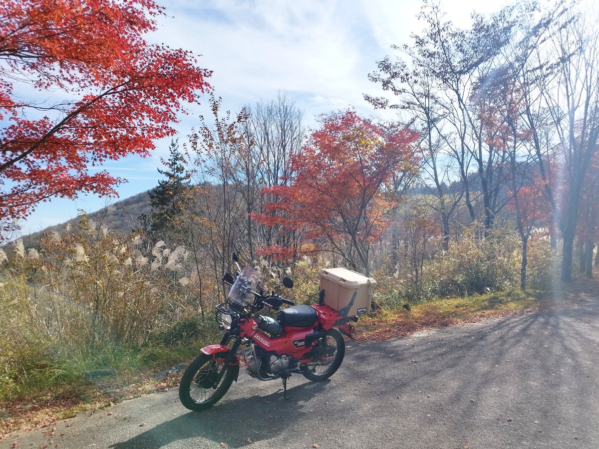 「秋色のバイクで紅葉狩り  #CT125」|RAM@30R一般？のイラスト