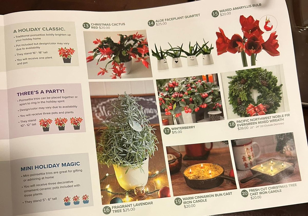 Today starts our winter flower sale!! You will get this in your child’s folder today. There has been a link for your child to sale emailed to you. Sale starts today and goes to Nov 15th. Pick up is on Nov 29th 3-5. Please email Longfellowpta01@gmail.com with any questions.