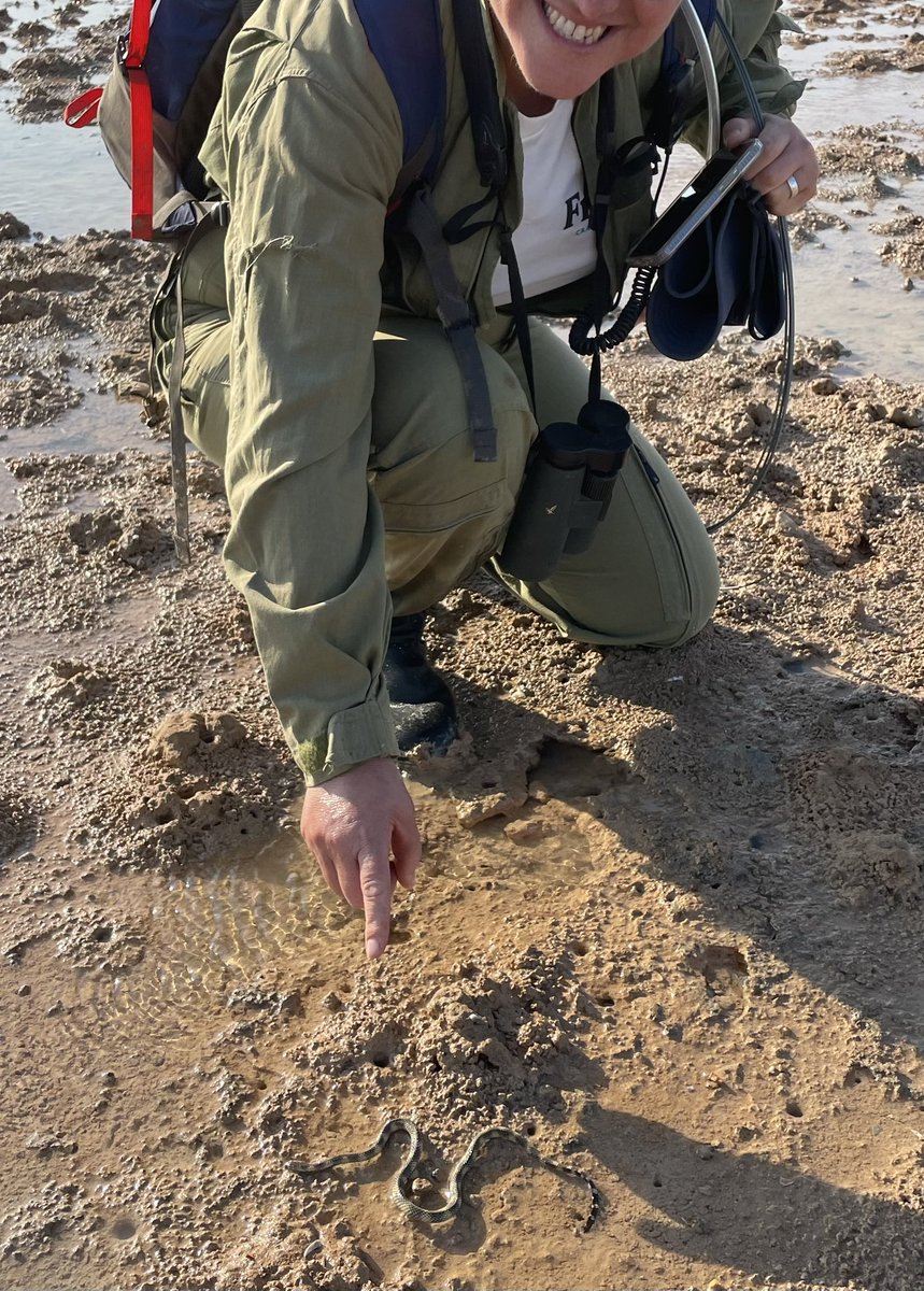 Ruth Reef 🌊 tweet media