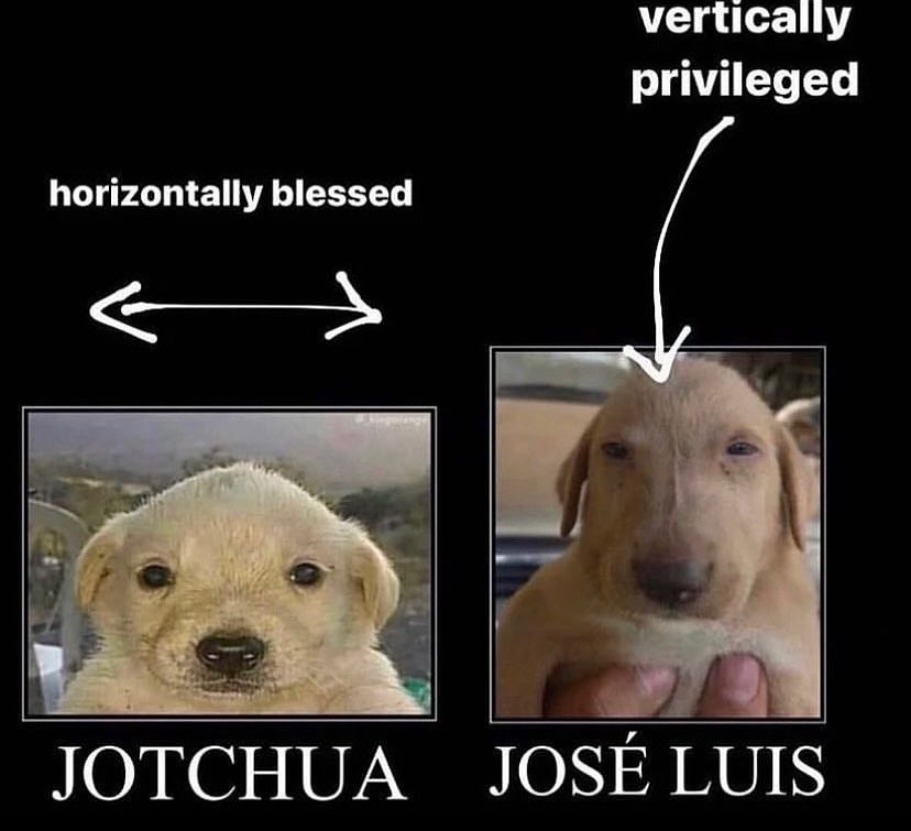 _algotriste's tweet photo. me siento,,,, https://t.co/MGavRKXwCY