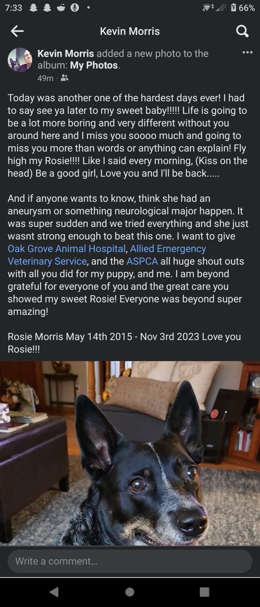 Hippie459MN's tweet photo. @93xashley Hopefully your vet visit has a better outcome than mine did over the past 36 hours. I'm broken! 😢😢 https://t.co/fXPNrEKIV6