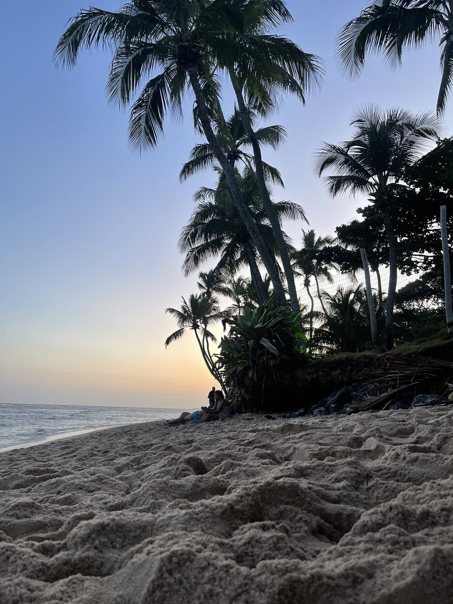 deraldoneto_'s tweet photo. Praia do Forte ♥️ https://t.co/VdEbcYGVNt