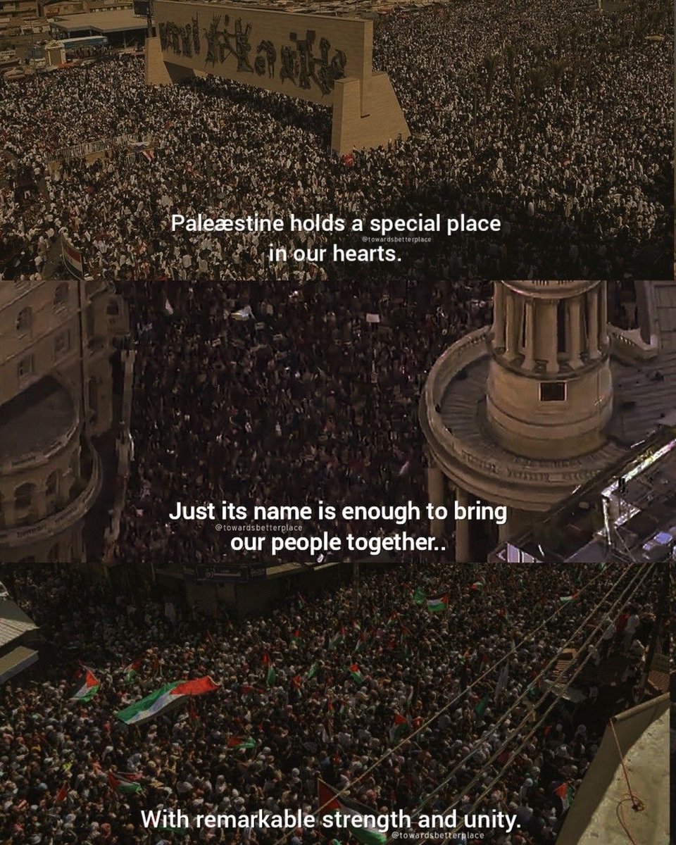 ❤️🇵🇸