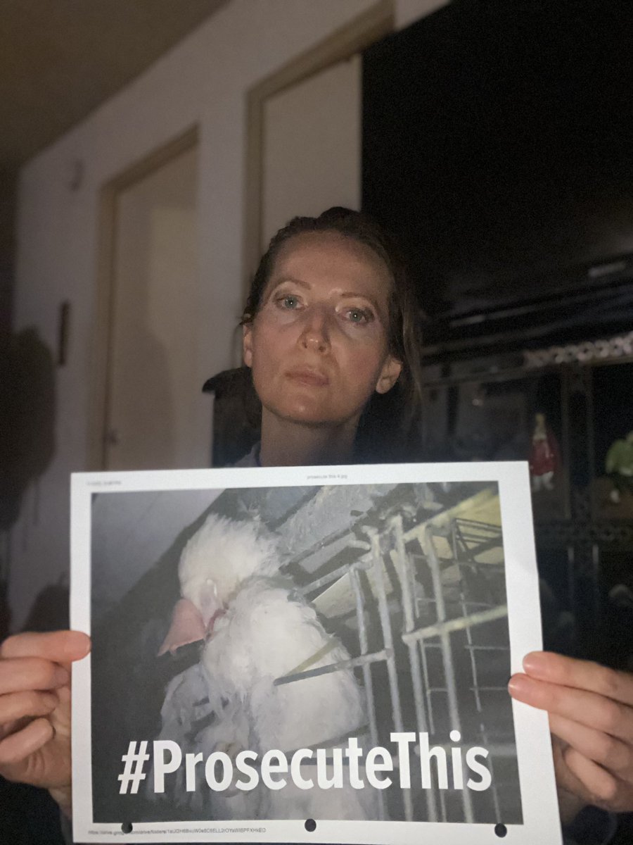 Rutasimo's tweet image. It’s time that you finally #ProsecuteThis criminal animal cruelty happening in your county. @SonomaCoDA