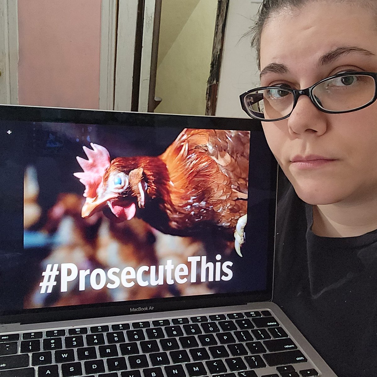 ChloeLeffakis's tweet image. It’s time that you finally criminal animal cruelty happening in your county. @SonomaCoDA. I&apos;m appalled that your office just sent a nonviolent animal rescuer to jail when all he did was try to help victims your office is neglecting. Instead of prosecuting rescuers,#ProsecuteThis.