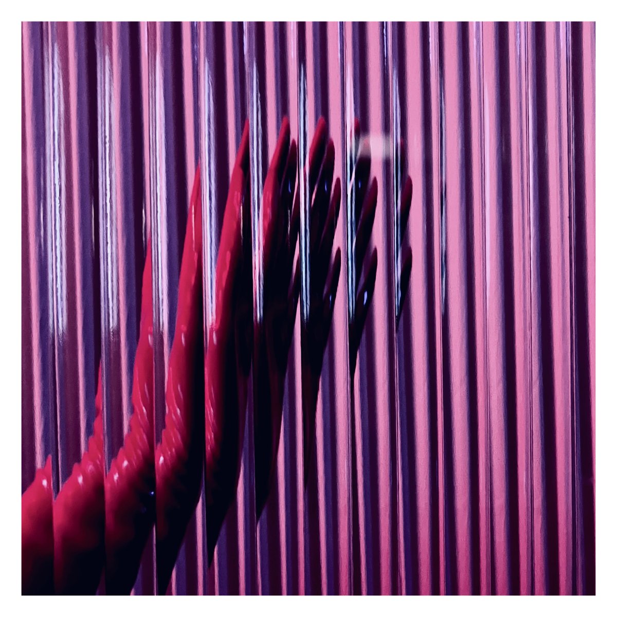 James 서 tweet media