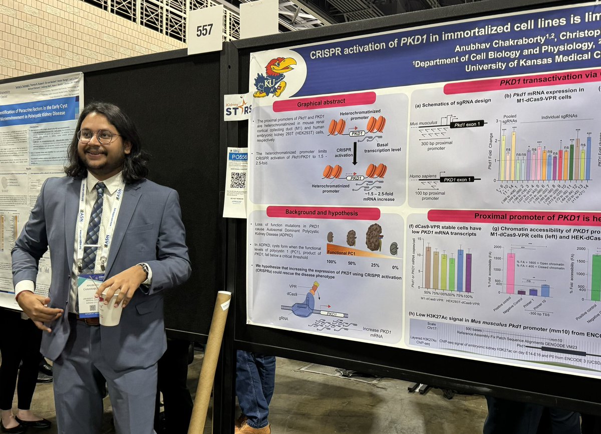 PamelaVTran's tweet photo. Vinu @ReenaRao_, Anubhav @SynthNatura, and Jordan @JordanTrant killing it at #Kidneywk @KUJGKI @kumcmstp https://t.co/gVJMaCATG0