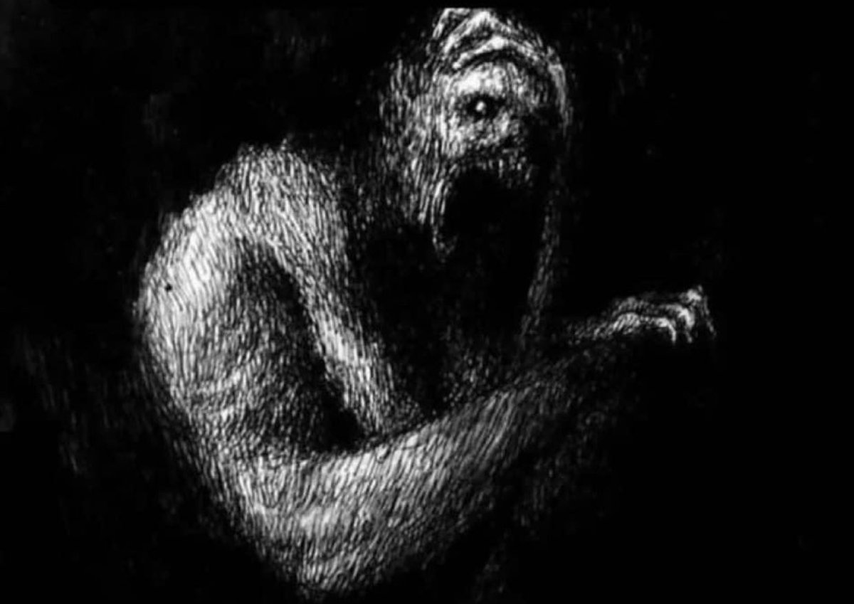 Cel ⭐️ tweet media